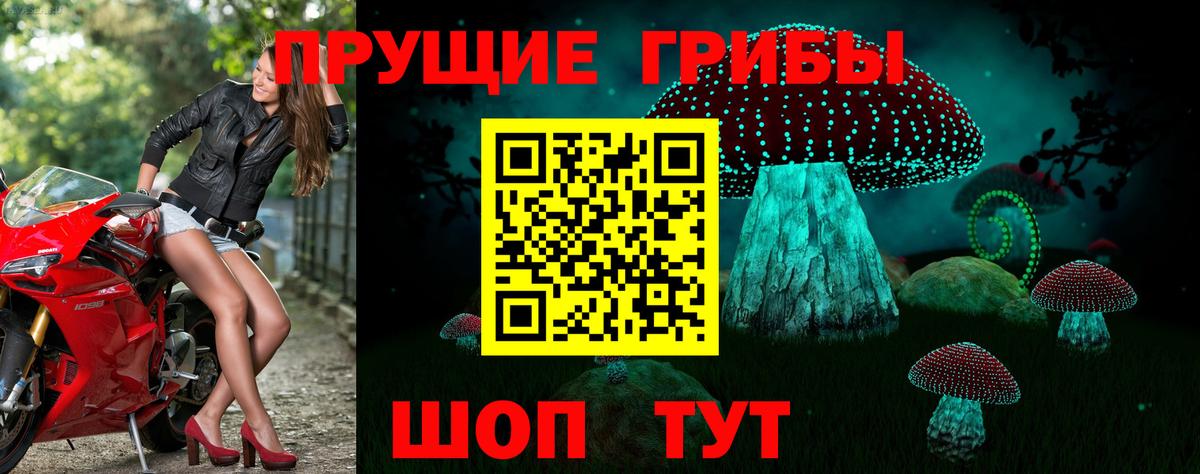 Псилоцибиновые грибы Psilocybe  Псилоцибиновые грибы ЛСД  Чернушка  Вход с VPN 