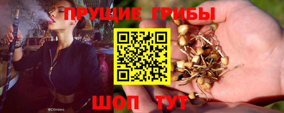 Псилоцибиновые грибы ЛСД Чернушка